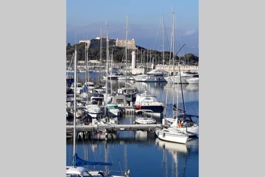 Port Vauban F3 Refait A Neuf Appartement Antibes
